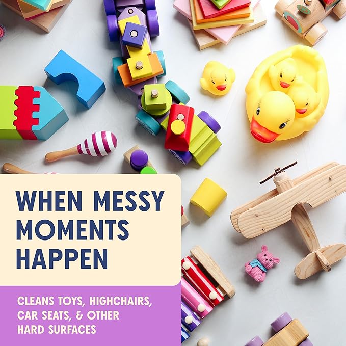 Aunt Fannie's Toy and Highchair Cleaner, Hypoallergenic, Multi-Purpose Spray Powered by Vinegar for Toys, High Chairs, Car Seats, Swings, Counters, and Other Hard Surfaces Fragrance Free, Pack of 6