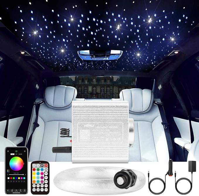 CHINLY 650pcs Starlight Headliner Kit,Star Light Headliner Kit,Twinkle Star Lights for Car,RGBW+APP+Remote Fiber Optic Lights Star Headliner Kit,Car Star Lights for Ceiling Car,Theater 13.1ft 0.03in