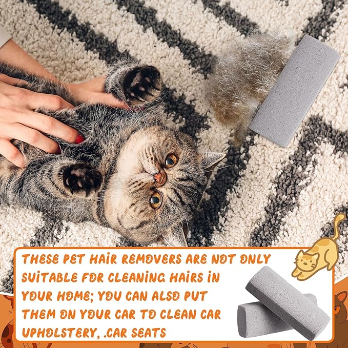Abbylike 6 Pcs Pet Hair Remover Pumice Stone Car Pet Hair Removal Tool for Bedding Carpet Couch Furniture Cleaning (5.3 x 2 x 1.4 Inch,Gray)