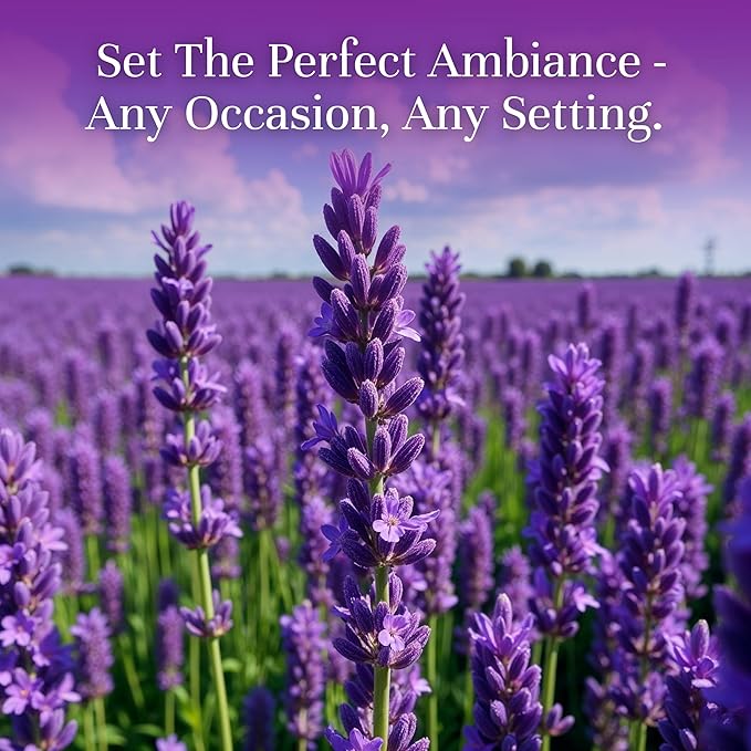 P&J Trading Fragrance Oil | Lavender Oil 100ml - Candle Scents for Candle Making, Freshie Scents, Soap Making Supplies, Diffuser Oil Scents