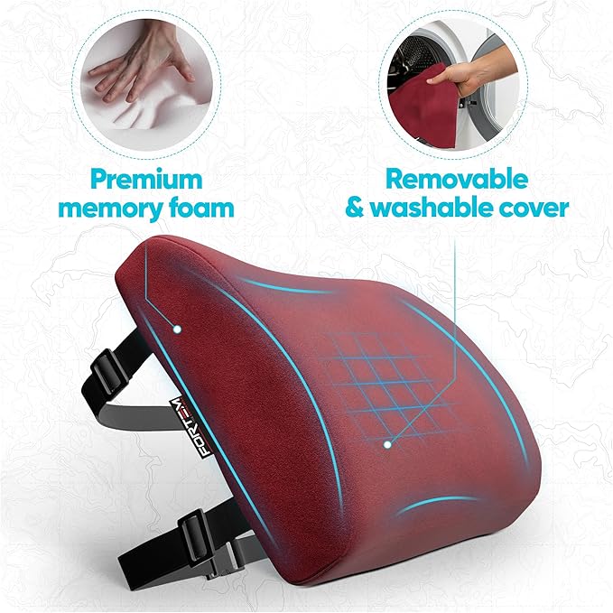 FORTEM Lumbar Support Pillow for Office Chair, Lumbar Support Pillow for Car, Back Rest for Gaming, Memory Foam Pillow, Desk Chair Cushion, Breathable & Washable Cover, Adjustable Straps