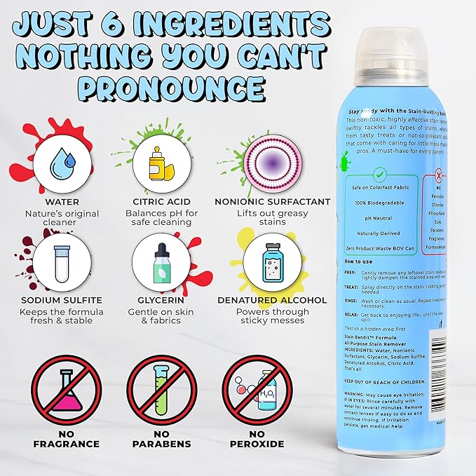 Stain Remover Spray | Non-Toxic Stain Remover Family Safe Formula | Bag-On-Valve 360° Continuous Spray Bottle | Cleaner for Clothes, Upholstery, Carpet & Car Seats 4.2 Oz, (Pack of 3)