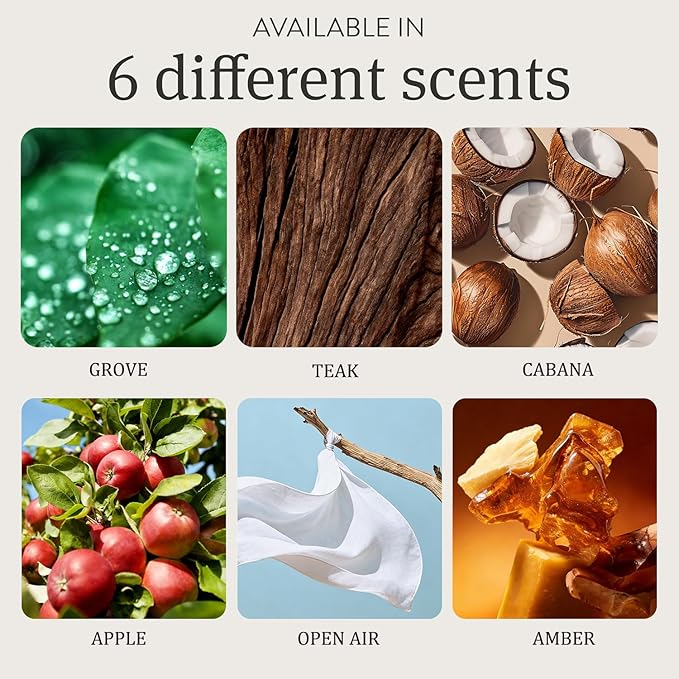 Car Air Freshener - Stone Air Freshener - Car Odor Eliminator - Long Lasting Scent - Car Scent - VISOR CLIP INCLUDED (Amber/set)