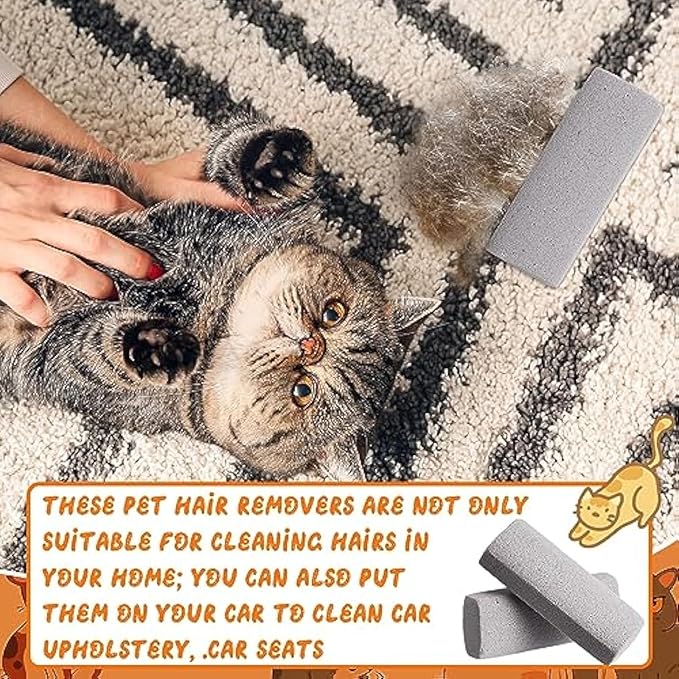 Abbylike 3 Pcs Pet Hair Remover Pumice Stone Car Pet Hair Removal Tool for Bedding Carpet Couch Furniture Cleaning (6.1 x 2.56 x 1.4 Inch,Gray)