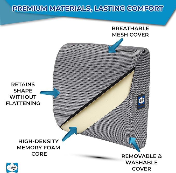 Sealy Ergonomic Lumbar Support Pillow for Office Chair and Car Seat - Memory Foam Back Support Lumbar Pillow, Premium Cushion Chair Support for Lower Back Pain Relief and Versatile Use (Gray)