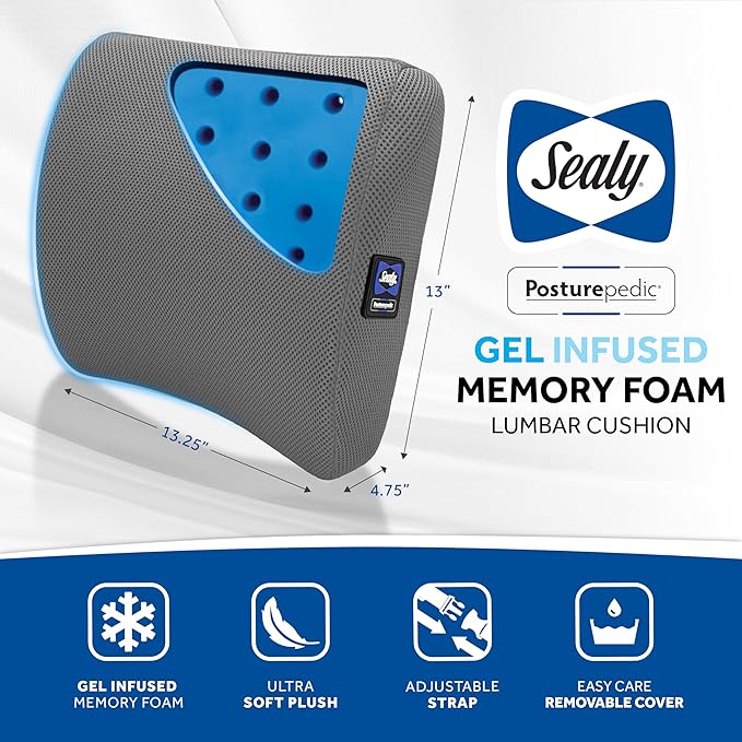 Sealy Lumbar Support Pillow with Cooling Gel – Ergonomic Office Chair Cushion for Back Support – Memory Foam Back Pillow for Car, Office, or Home, Gray