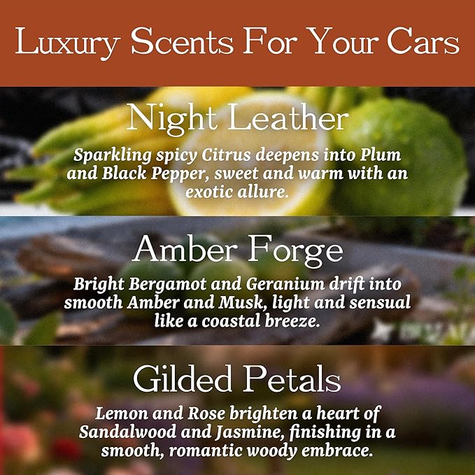 Car Air Freshener Wood 3 Pack — Refillable Solid Diffuser, North American Alder Scent, Leather Visor Clips — No Liquid Odor Eliminator for Cars, Trucks, SUVs