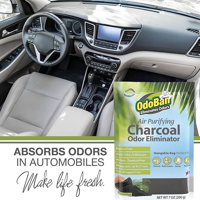 OdoBan Air Purifying Charcoal Natural Odor Eliminator, Non-Toxic Formula, Made in the USA, Fragrance Free, 200 Gram Bag
