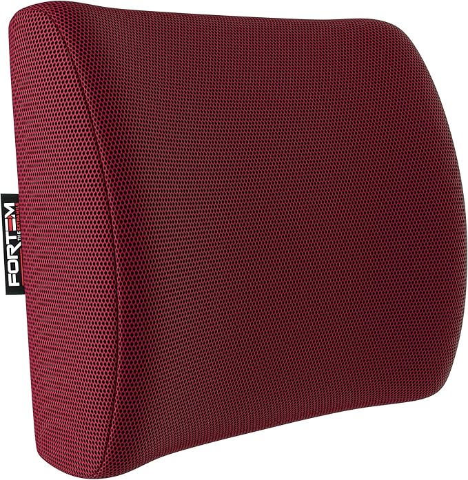 FORTEM Lumbar Support Pillow for Office Chair, Lumbar Support Pillow for Car, Back Rest for Gaming, Memory Foam Pillow, Desk Chair Cushion, Breathable & Washable Cover, Adjustable Straps