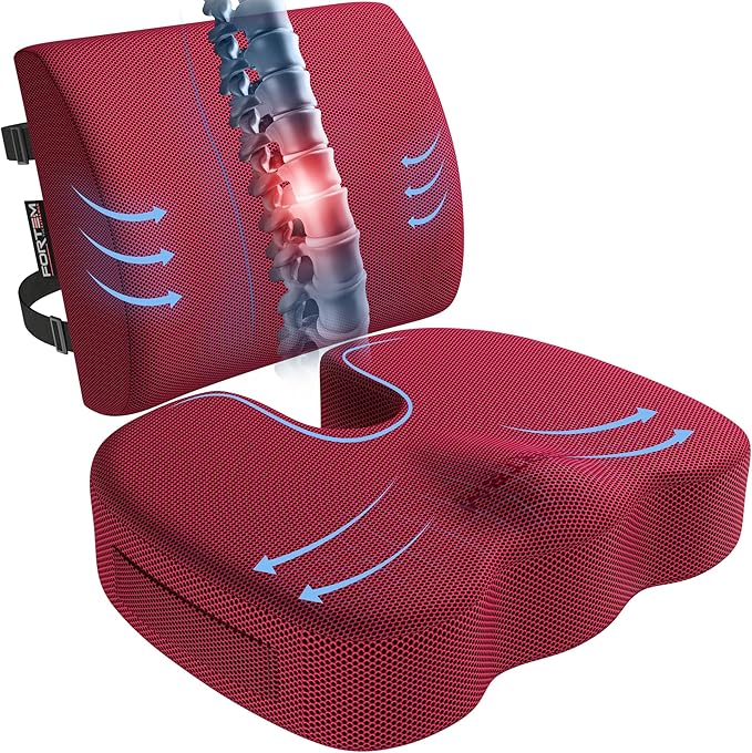 FORTEM Seat Cushion, Office Chair Cushion, Lumbar Support Pillow for Office Chair, Memory Foam Sciatica Coccyx Tailbone Pressure Pain Relief, Car Sitting Pad, Washable Non Slip, XL