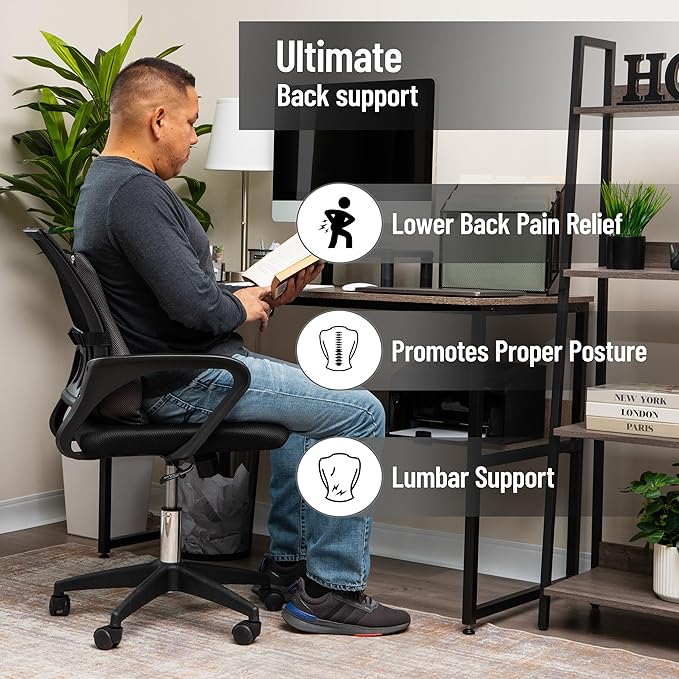 Mind Reader Air-Cloud Lumbar Cushion, Ergonomic Memory Foam Back Support Pillow for Office Chairs, Recliners, and Car Seats, Chiropractor-Recommended, Gray
