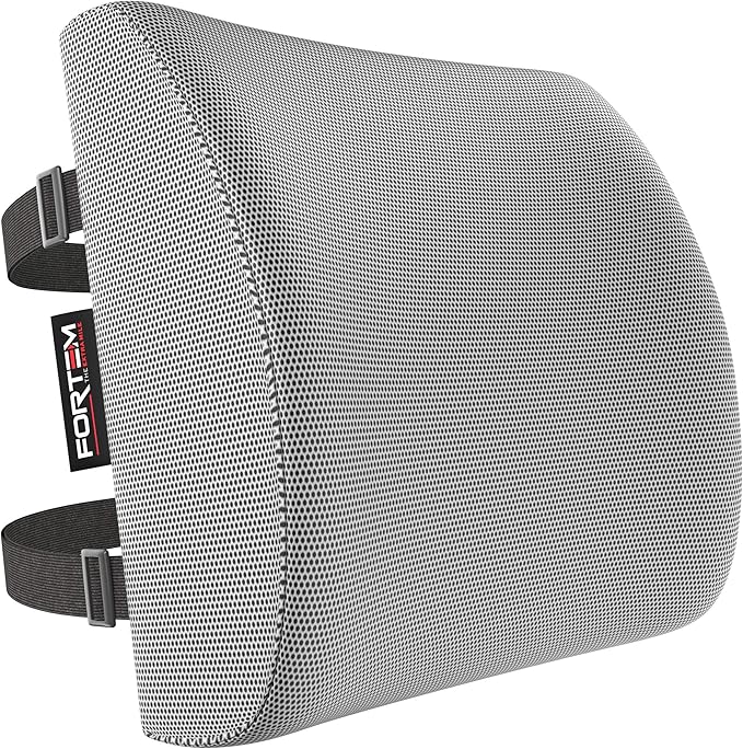 FORTEM Lumbar Support Pillow for Office Chair, Lumbar Support Pillow for Car, Back Rest for Gaming, Memory Foam Pillow, Desk Chair Cushion, Breathable & Washable Cover, Adjustable Straps