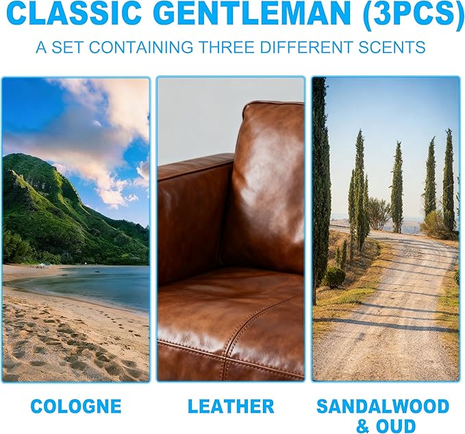 Car Air Freshener Hanging 3 Pack – Mixed Fragrance Cologne & Leather & Sandalwood oud, Long-lasting fragrance for 60+ days, Car Air Freshener Men, 0.27 FL OZ/8ML