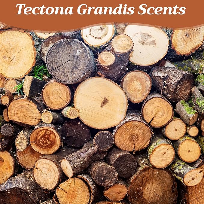 4 Pcs Car Wood Air Freshener Tectona Grandis Wood Fragrance Automotive Odor Eliminator for Visor Clip Vehicle Scent Diffuser with Scent Refill, Clip Included