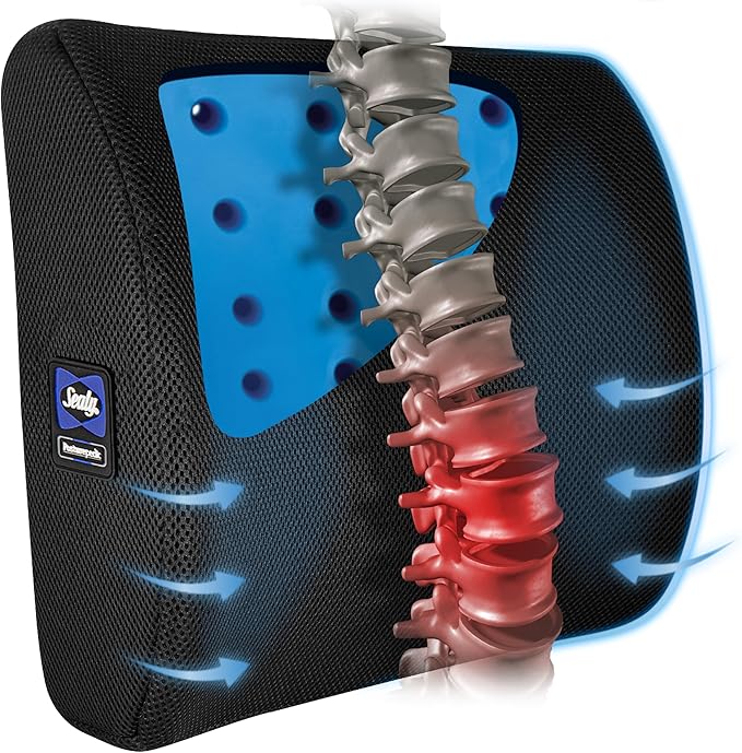 Sealy Lumbar Support Pillow with Cooling Gel – Ergonomic Office Chair Cushion for Back Support – Memory Foam Back Pillow for Car, Office, or Home, Black