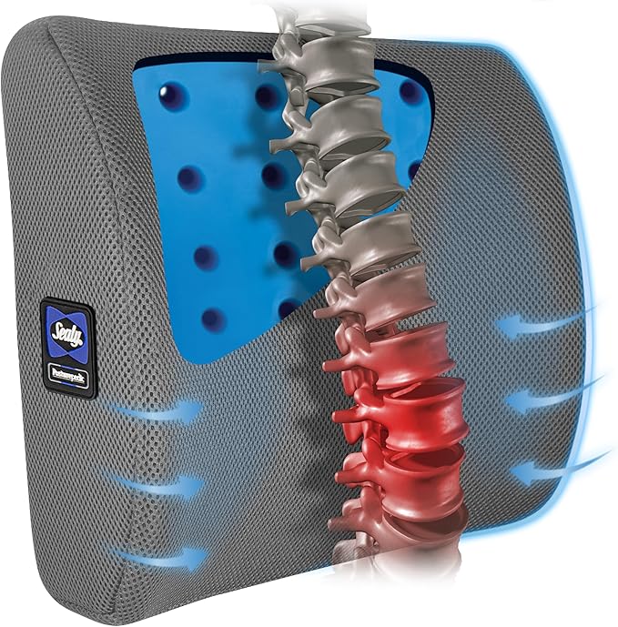 Sealy Lumbar Support Pillow with Cooling Gel – Ergonomic Office Chair Cushion for Back Support – Memory Foam Back Pillow for Car, Office, or Home, Gray